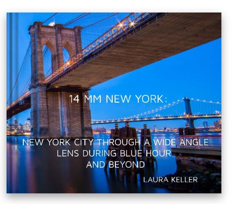 NYC book by Laura Keller