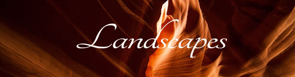 landscapes banner