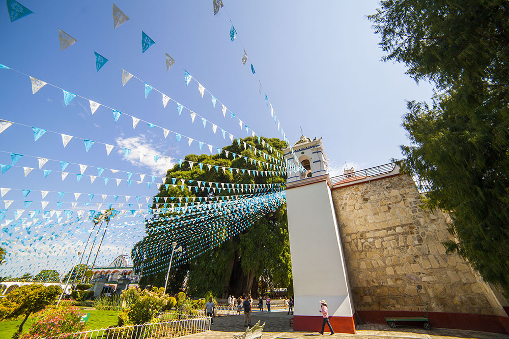 Mexico landscape photography