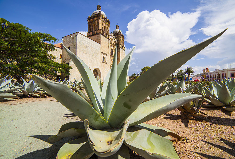Mexico landscape photography