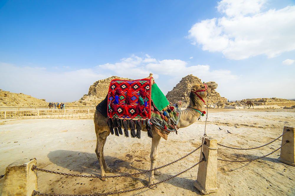 Egypt Pyramids of Giza photography
