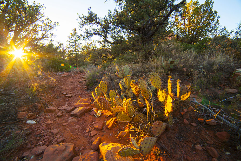 Southwest USA landscape photography